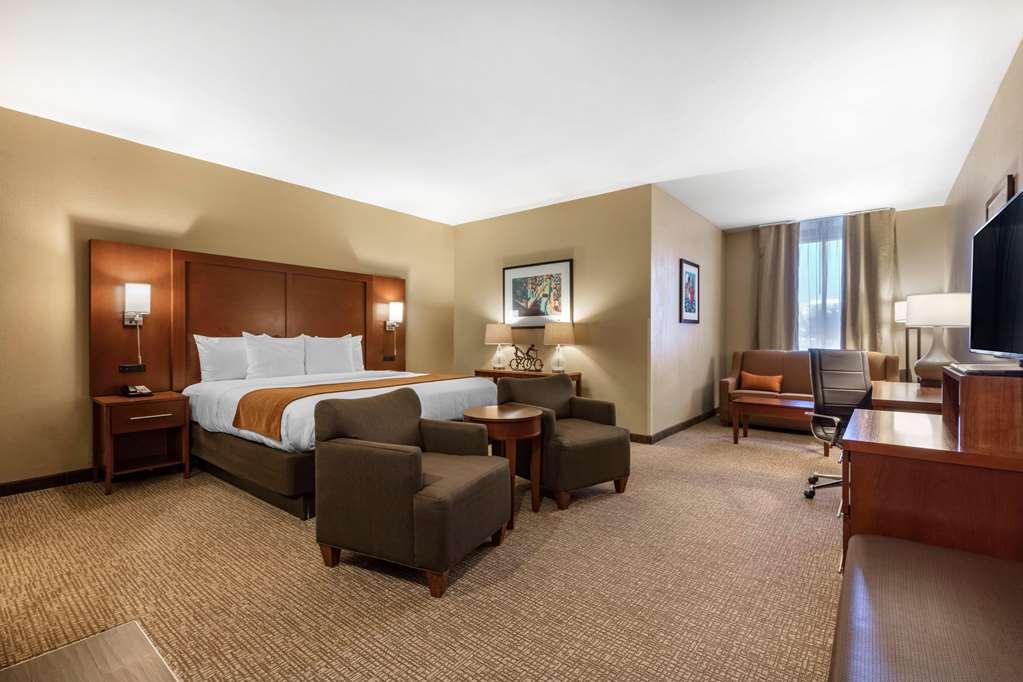 Comfort Inn Memphis Downtown Pokój zdjęcie