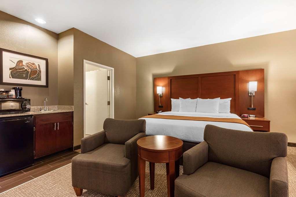 Comfort Inn Memphis Downtown Pokój zdjęcie
