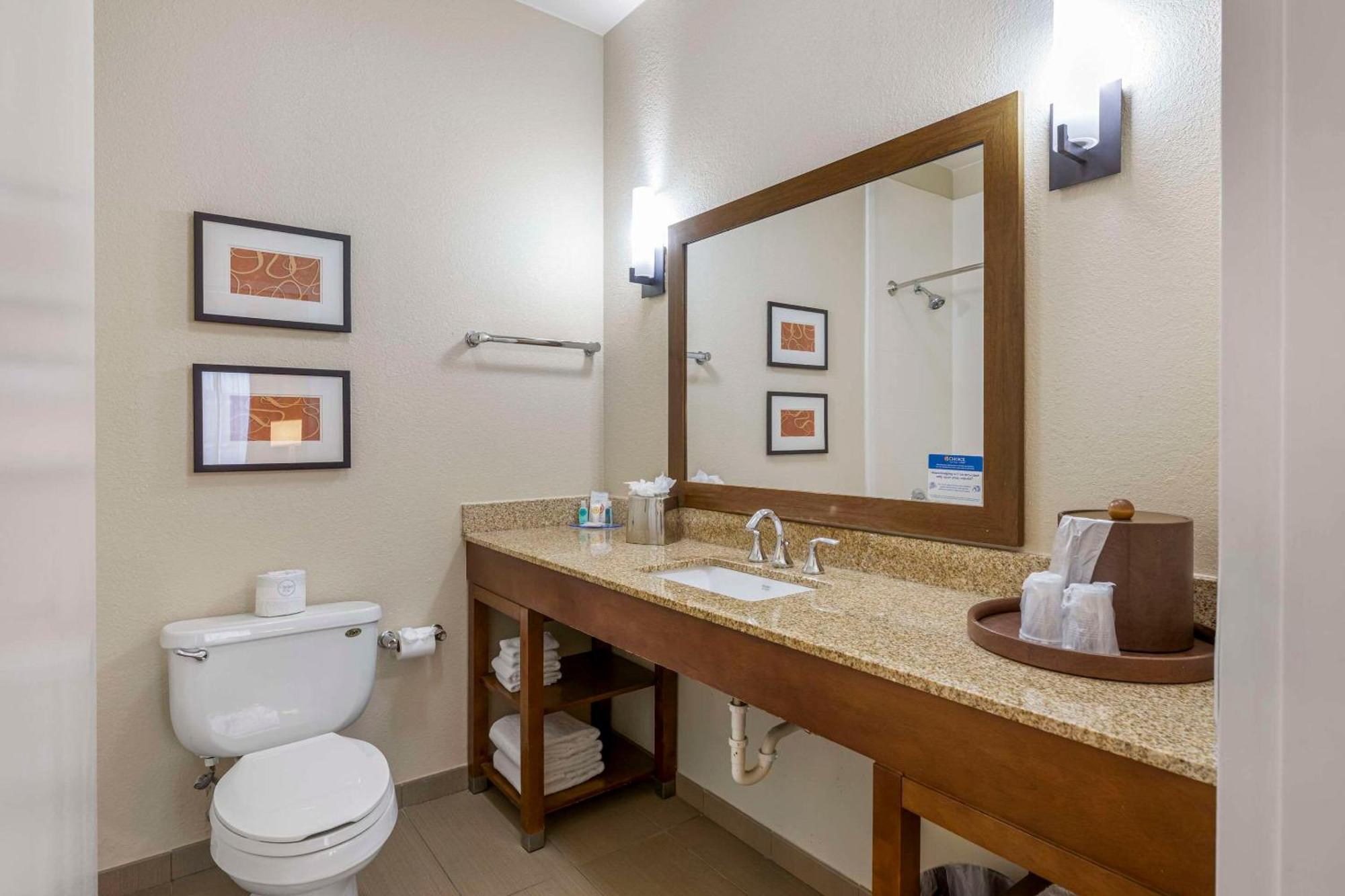 Comfort Inn Memphis Downtown Zewnętrze zdjęcie
