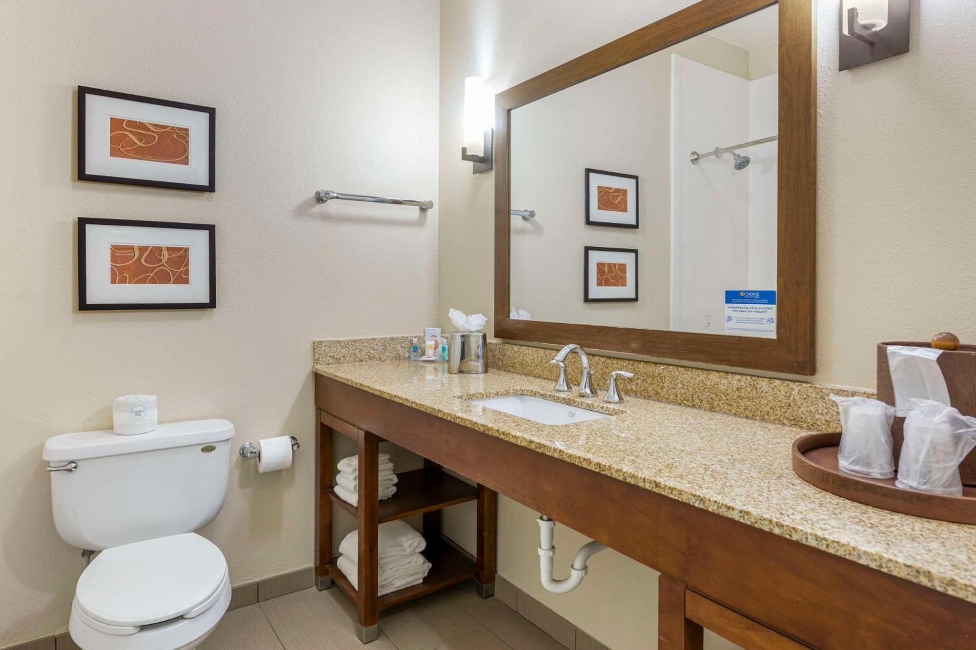 Comfort Inn Memphis Downtown Zewnętrze zdjęcie